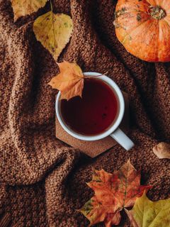 Осенний уют Чай, плед и листья