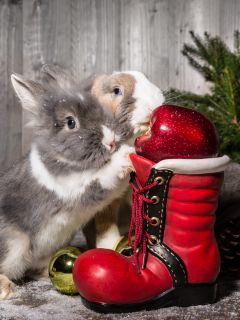Новогодние кролики