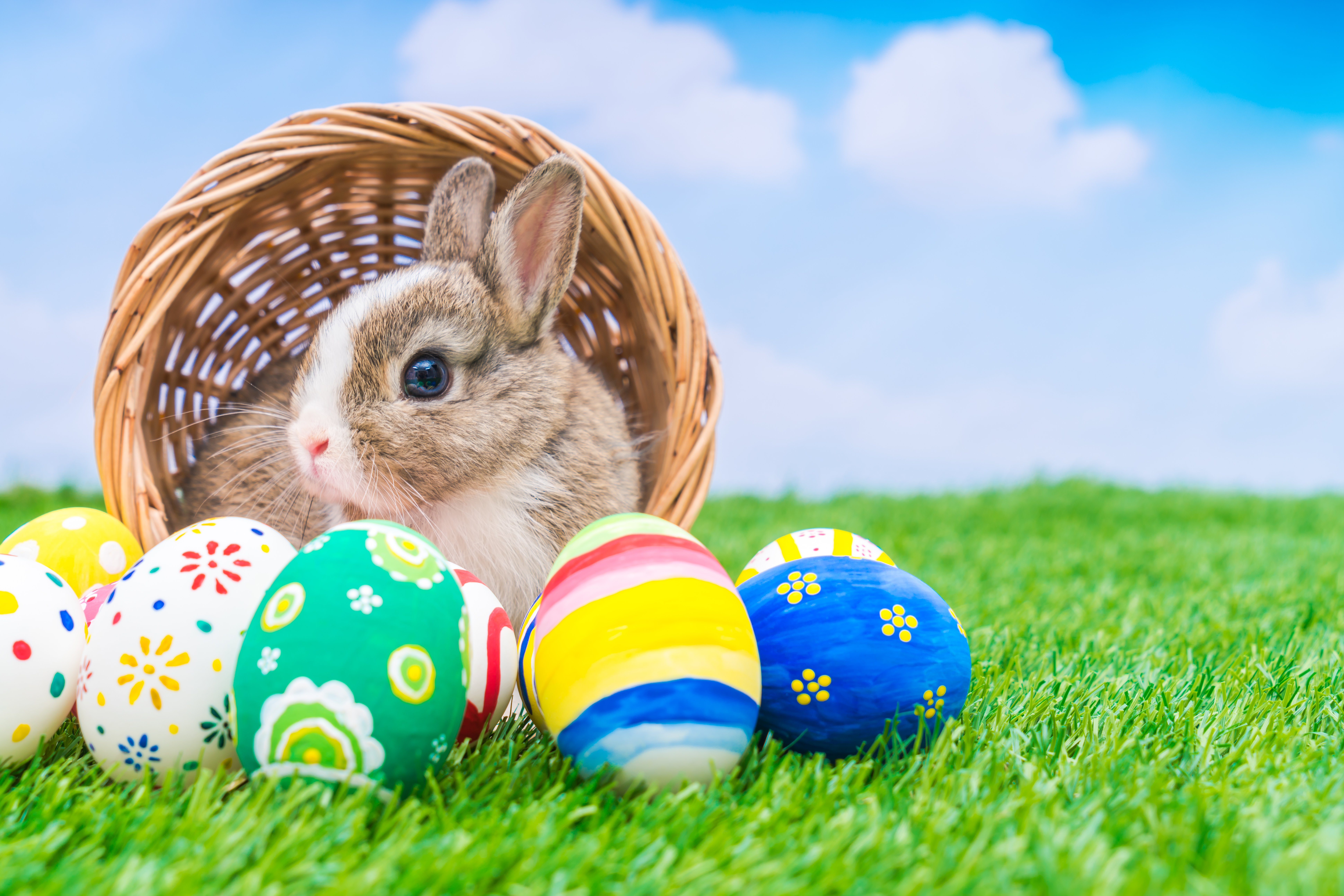 Пасхальный кролик где. Пасхальный кролик Ostern. Easter Bunny — Пасхальный кролик. Пасхальное яйцо. Пасхальный заяц с яйцом.