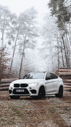 BMW X6M в замерзшем лесу