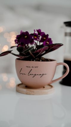 Чай - мой язык любви Фото