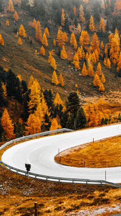 Австрийская дорога Ноккальм осенью