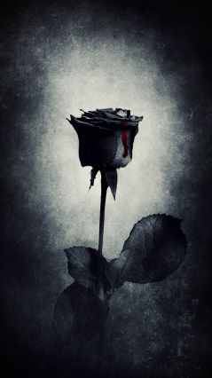 Готическая роза с кровью