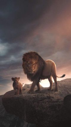 Лев-отец и львенок