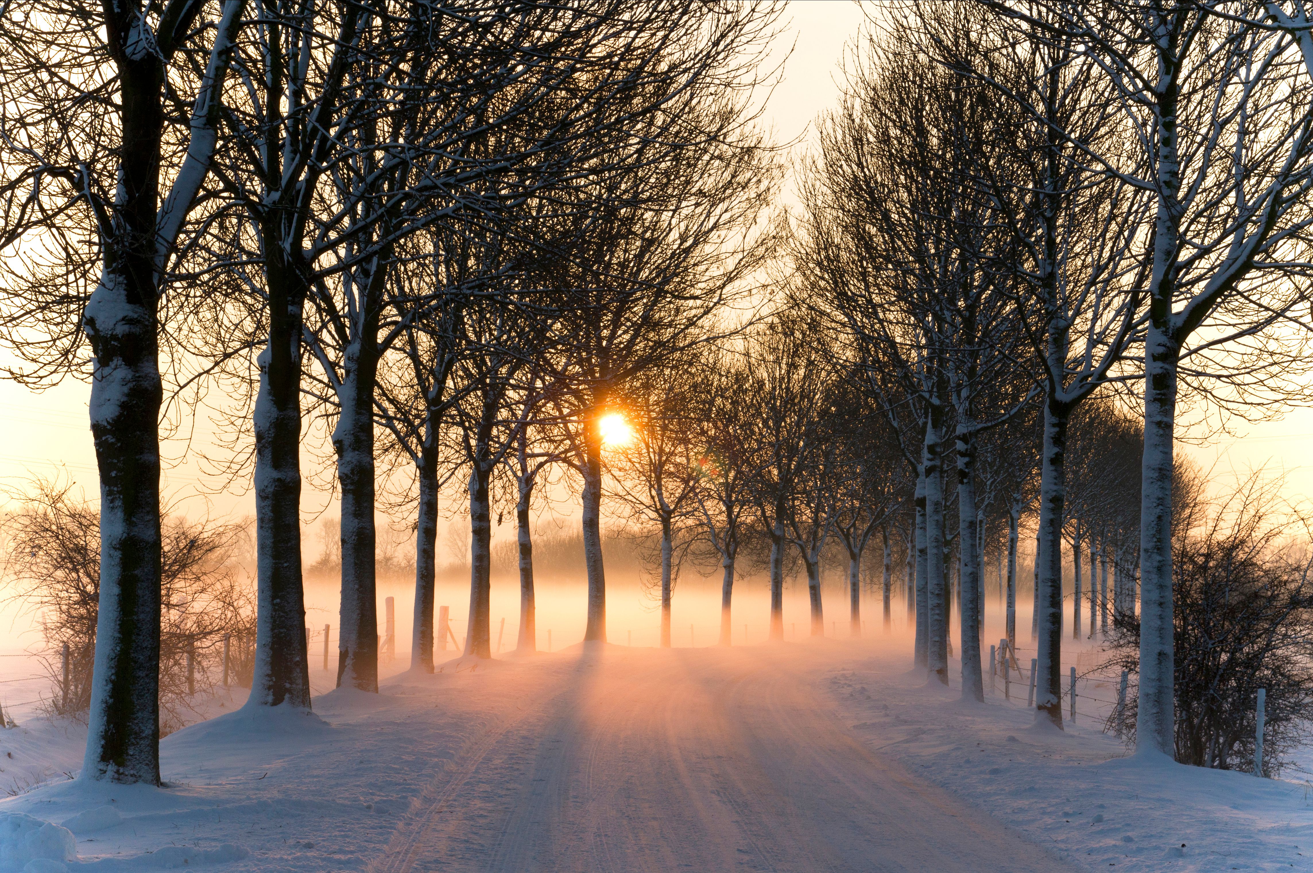Зимнее утро дорога. Зимняя аллея. Зимняя природа. Зимний закат. Обои зима.