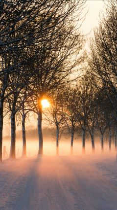 Утро на зимней, туманной дороге