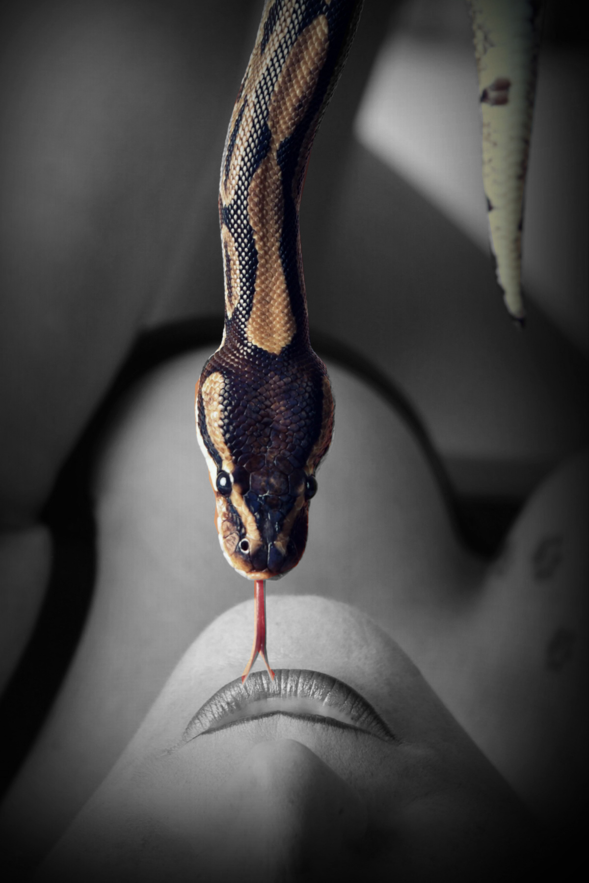 Змея у женских губ
