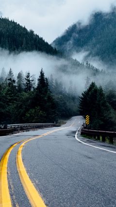 Дорога в туманный, холмистый лес