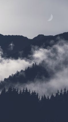 Фотография горы, покрытой туманом