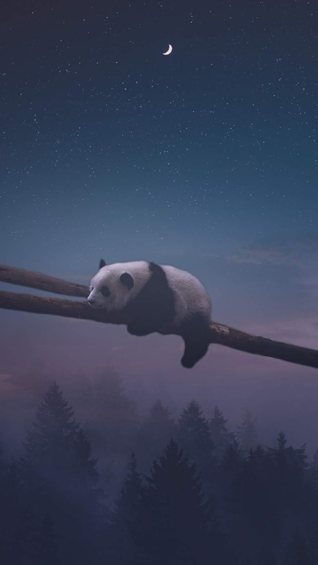 Спящая панда над лесом