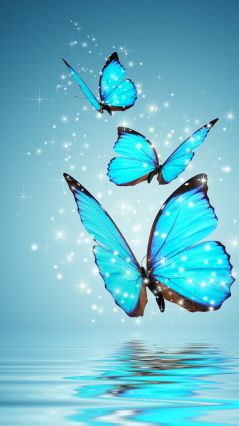 Голубые бабочки на синем