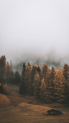 Хижина на склоне и туман над осенним лесом